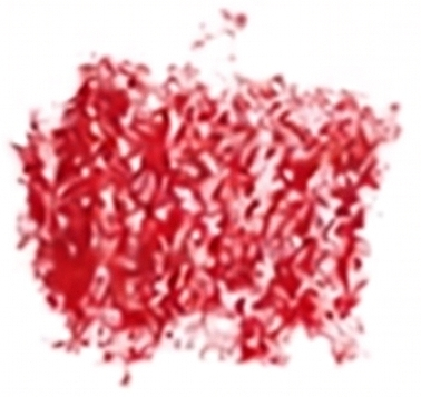 NESLEMY Easy-to-apply lip liner