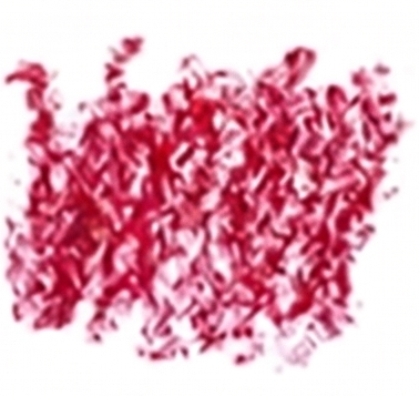NESLEMY Easy-to-apply lip liner